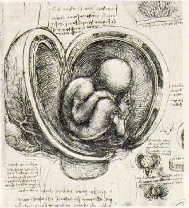 womb study.jpg